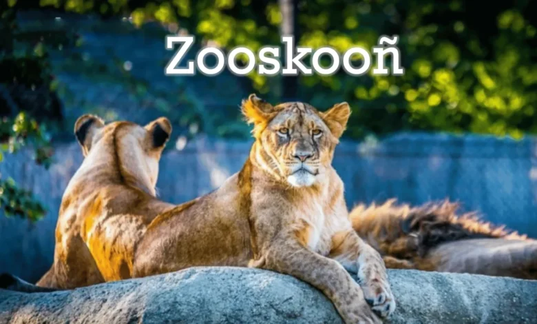 zooskooñ